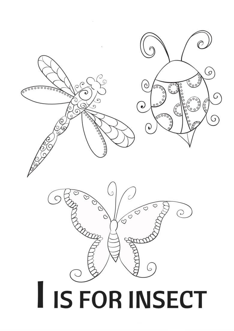 Insecto para Colorear