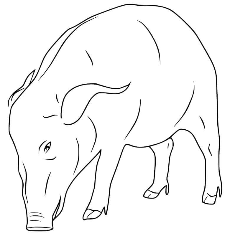 Dibujo de Buen Jabalí para Colorear y Imprimir