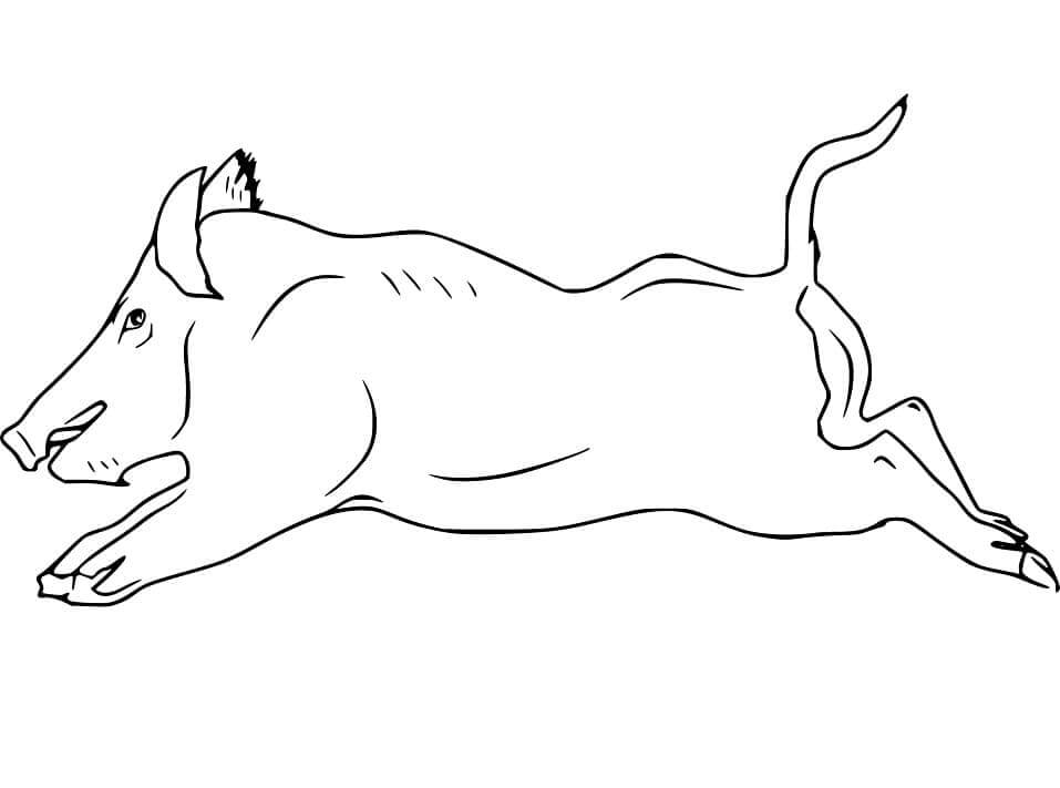 Dibujo de Carrera Básica de Jabalí para Colorear y Imprimir