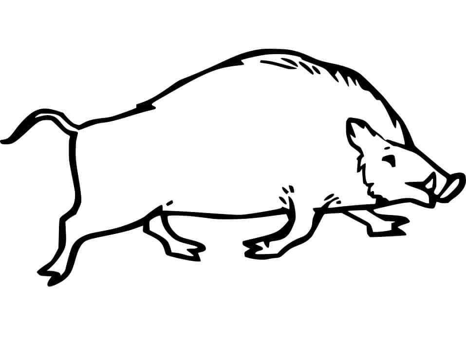 Dibujo de Dibujo de Jabalí Corriendo para Colorear y Imprimir