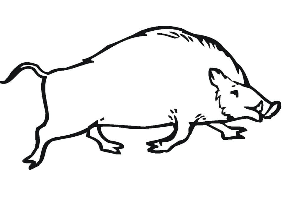 Dibujo de Jabalí Fácil para Colorear y Imprimir