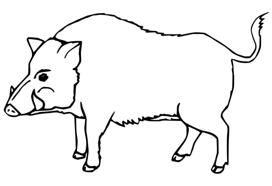 Dibujo de Jabalí Libre para Colorear y Imprimir