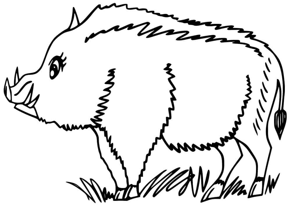 Dibujo de Jabalí Normal para Colorear y Imprimir