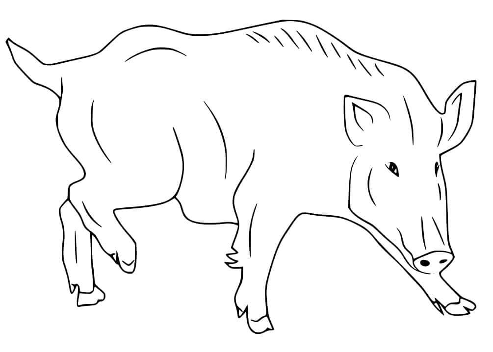 Dibujo de Lucha de Jabalí para Colorear y Imprimir