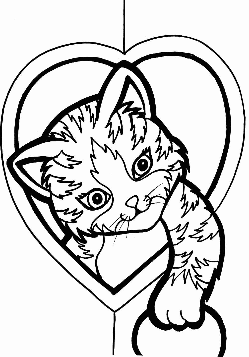 dibujo gato basico kawaii para colorear