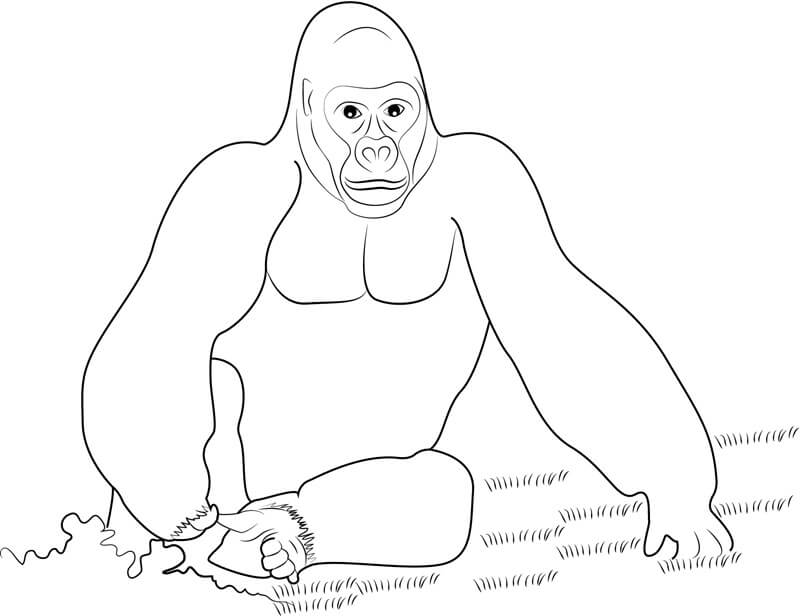 Dibujo de King Kong Sentado para Colorear y Imprimir