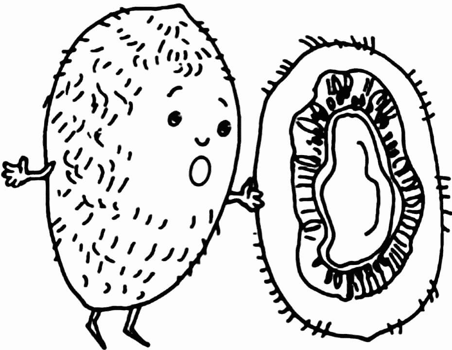 dibujo dibujo de dibujos animados kiwi para colorear