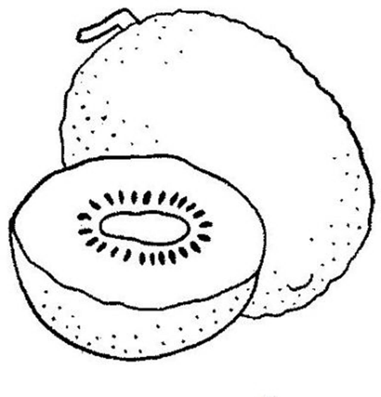 dibujo dibujo kiwi para colorear