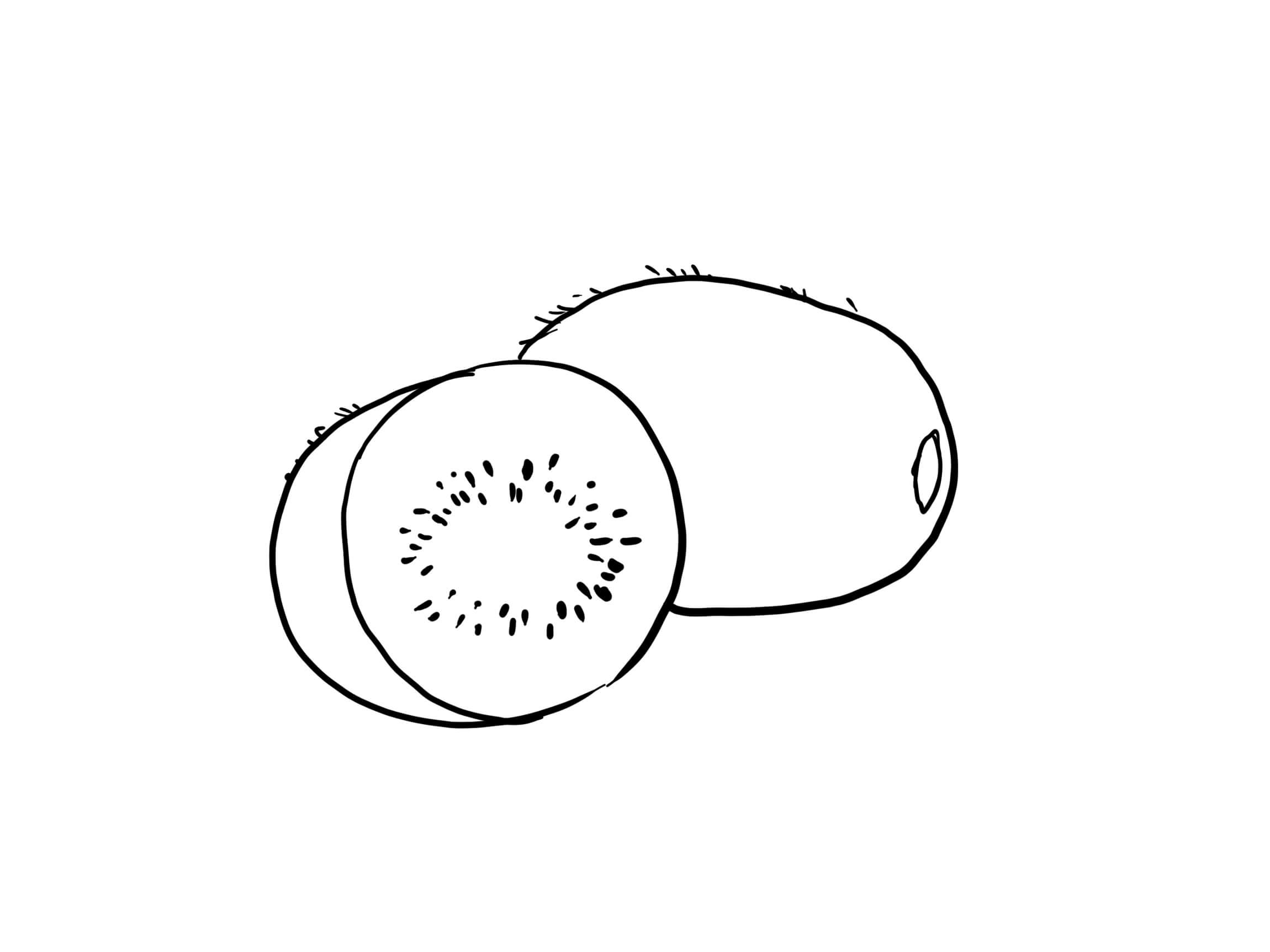 dibujo gran kiwi para colorear