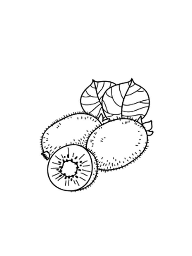 dibujo kiwi con hoja para colorear