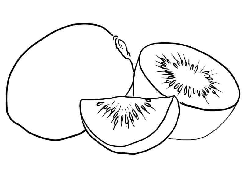 dibujo kiwi normal para colorear