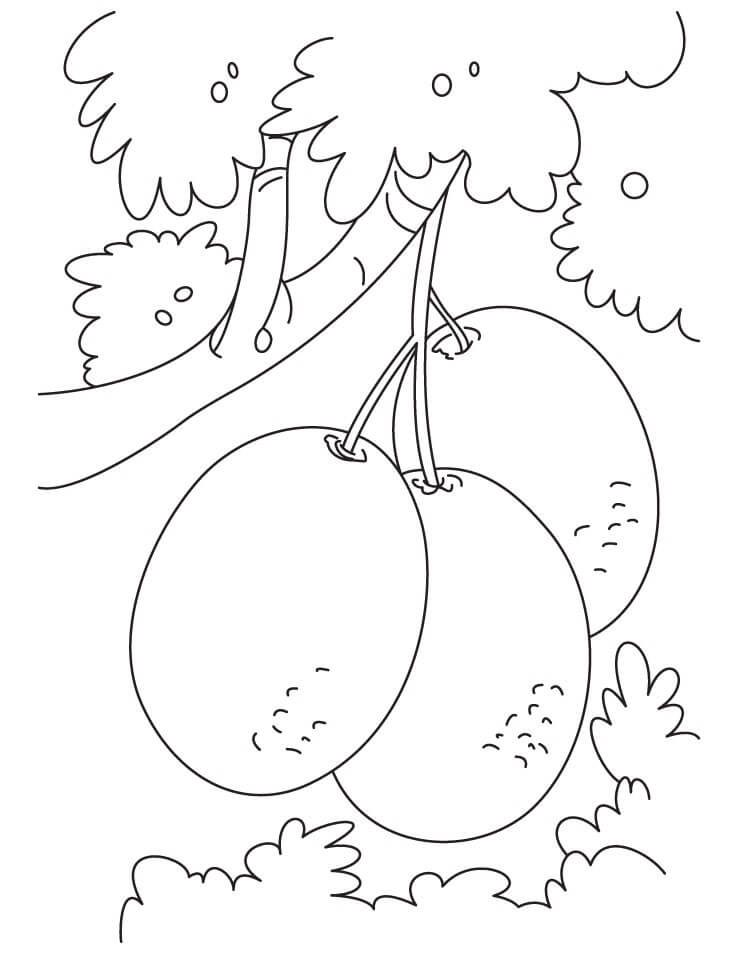 dibujo monton de kiwi en el arbol para colorear