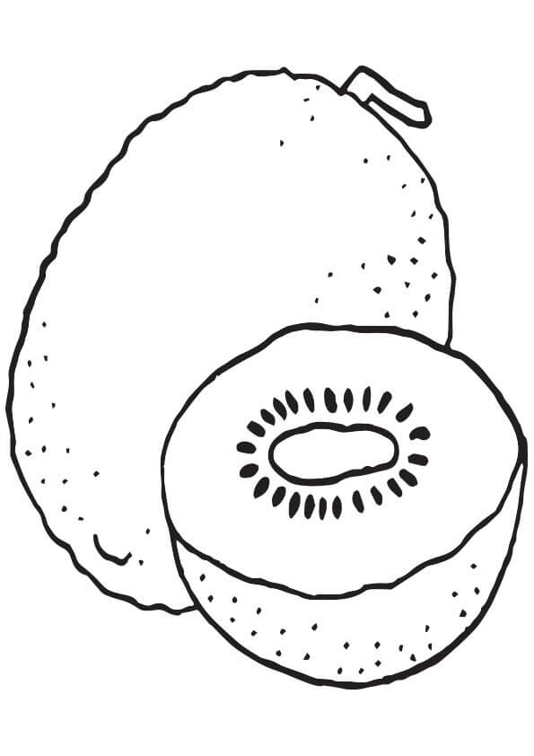 dibujo sencillo un kiwi y medio kiwi para colorear