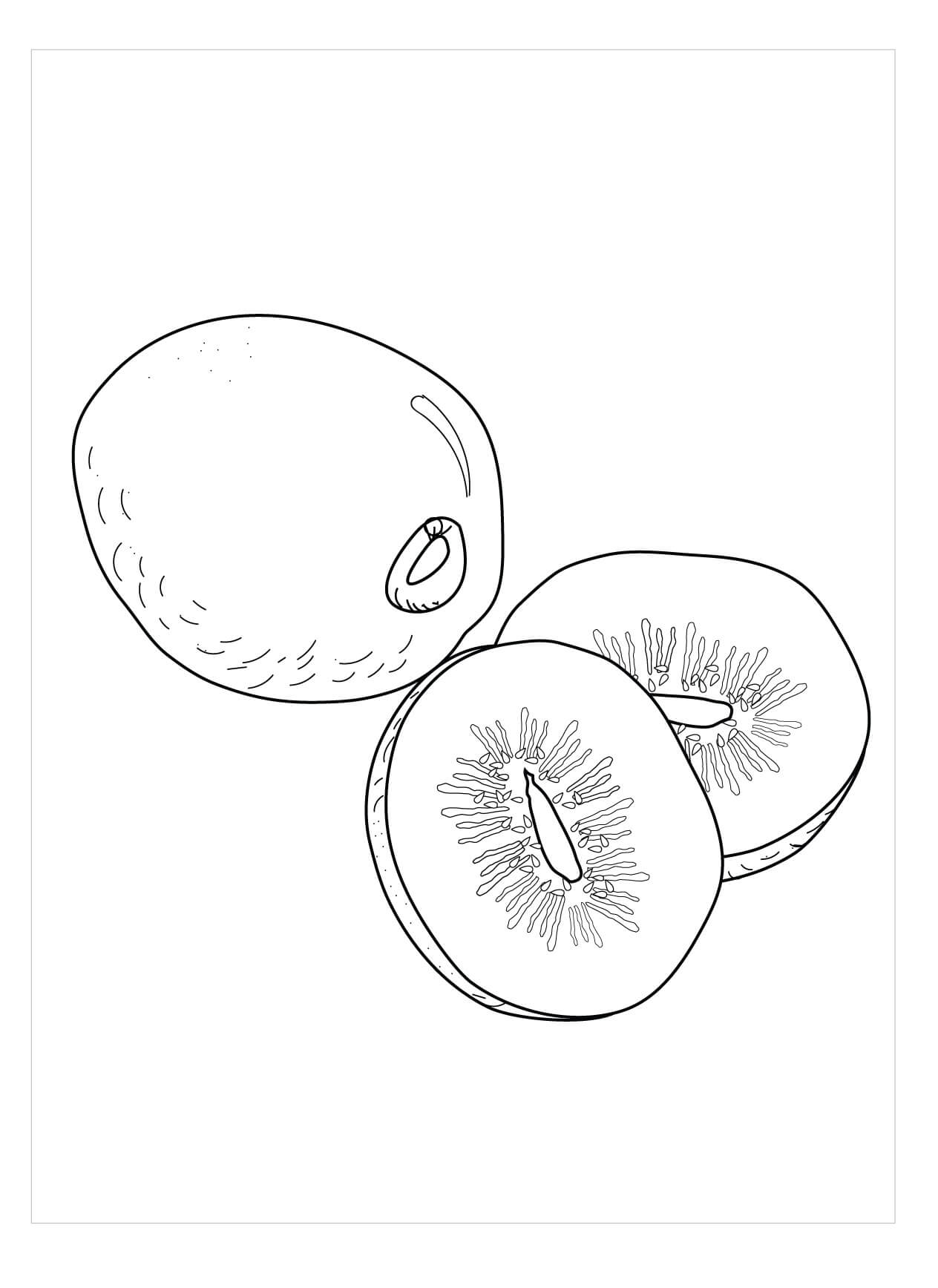 dibujo un kiwi y dos medios kiwi para colorear