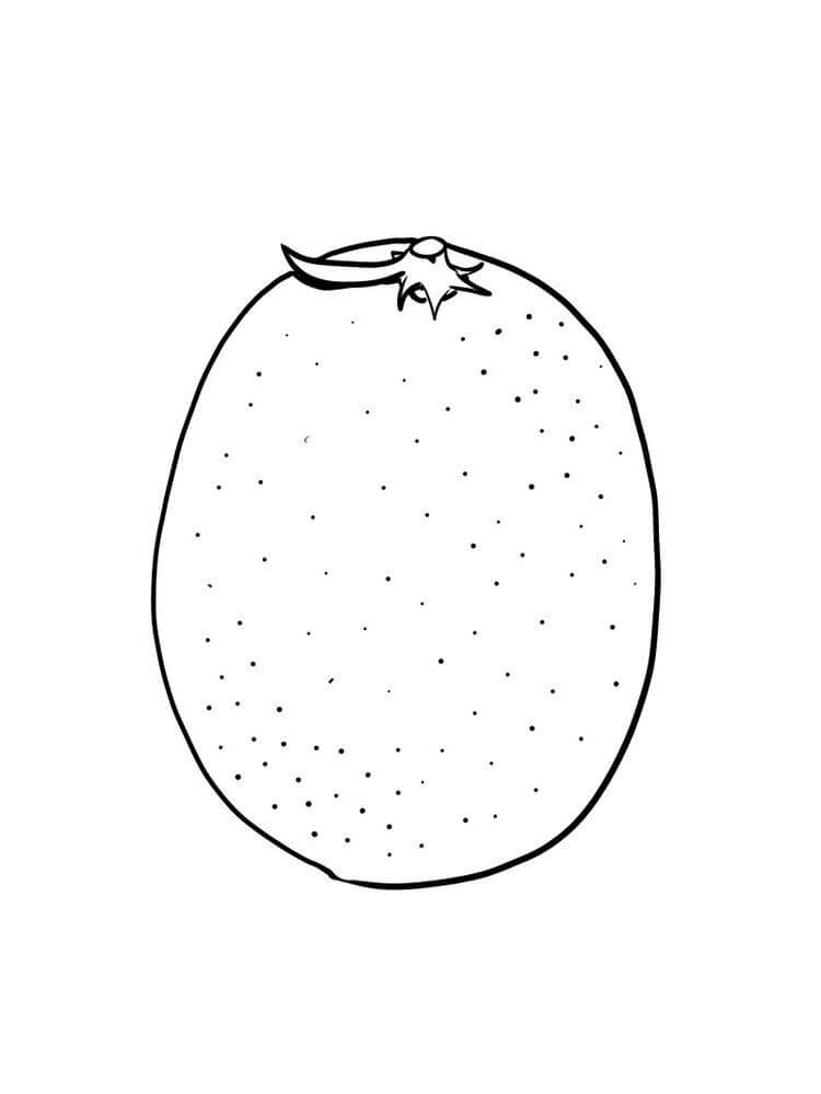dibujo increible kumquat para colorear