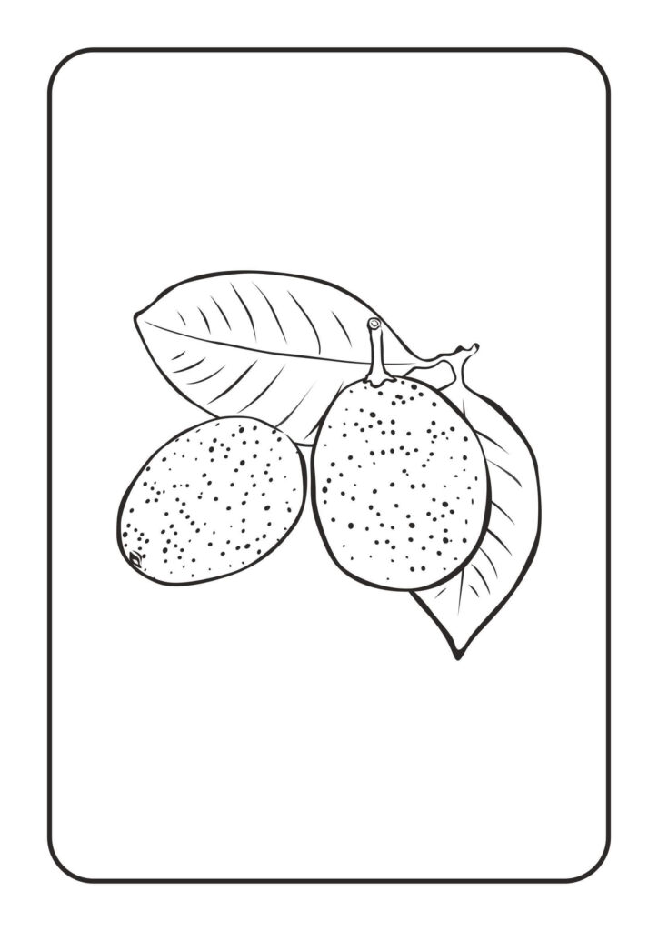 Dibujo Kumquat Basico Para Colorear