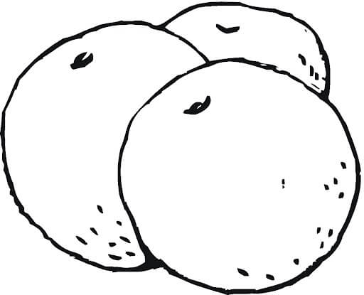 dibujo tres kumquat para colorear