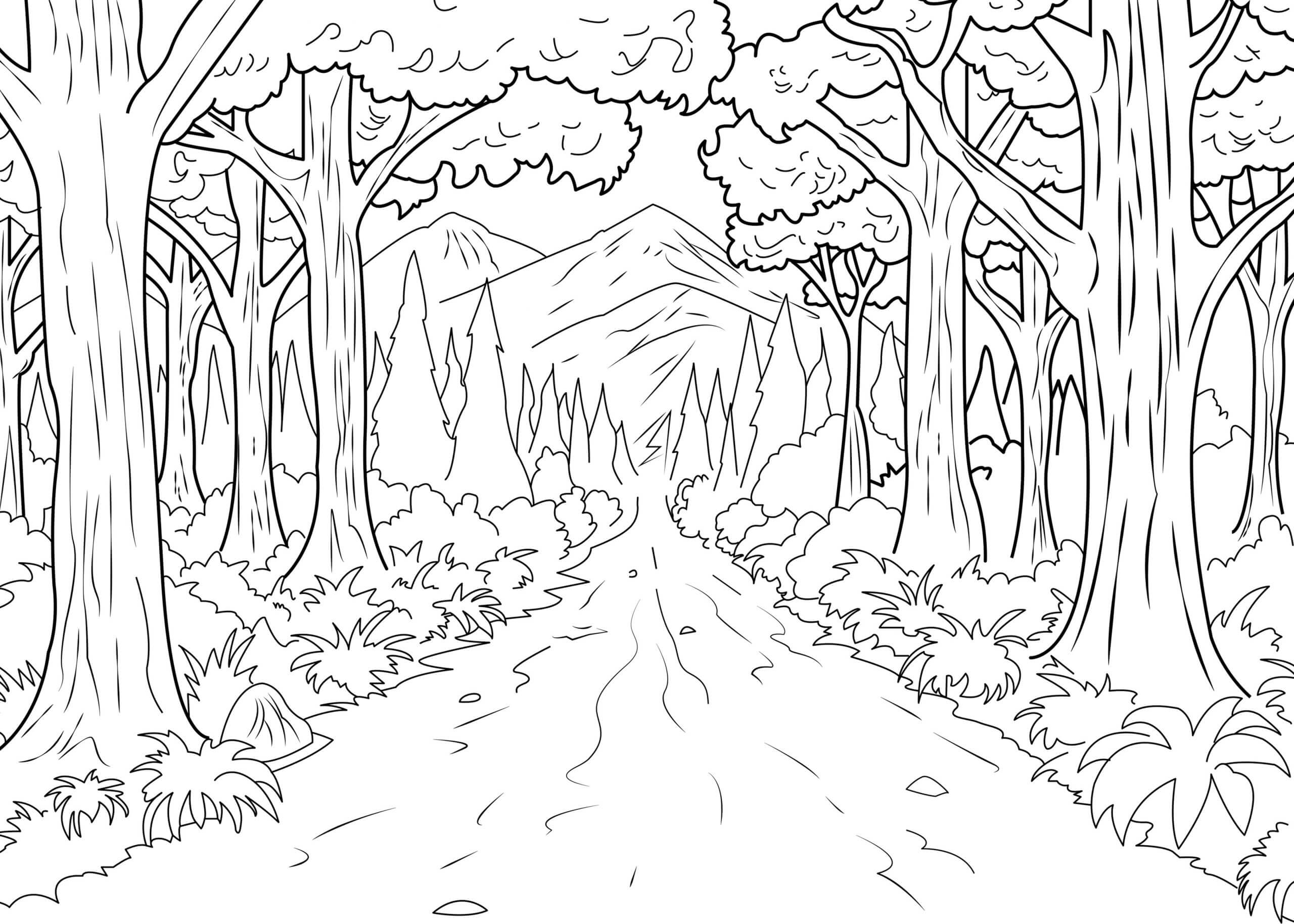 Dibujo de Camino Natural En El Bosque 1 para Colorear y Imprimir