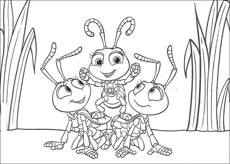 Dibujo de Insectos para Colorear y Imprimir