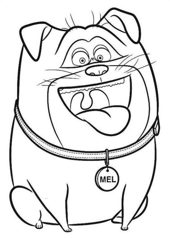 Dibujo de 1559612784 Happy Mel A4 para Colorear y Imprimir