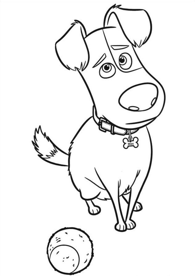 Dibujo de 1559695748 Max With Tennis Ball A4 para Colorear y Imprimir