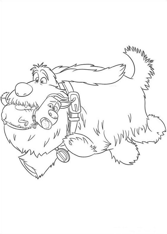 Dibujo de 1559695848 Duke Running A4 para Colorear y Imprimir