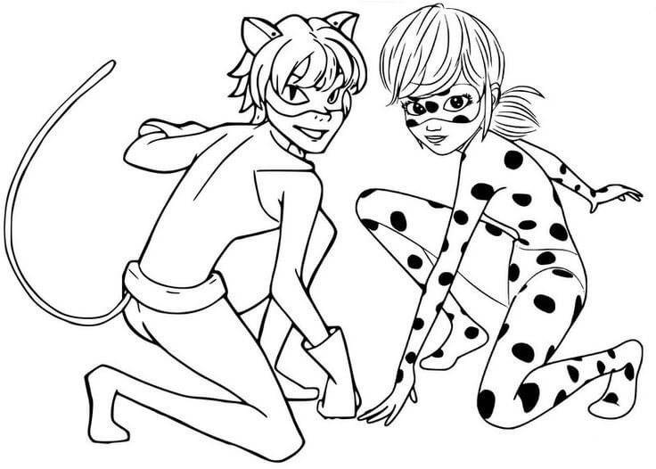 dibujo ladybug basica y cat noir para colorear
