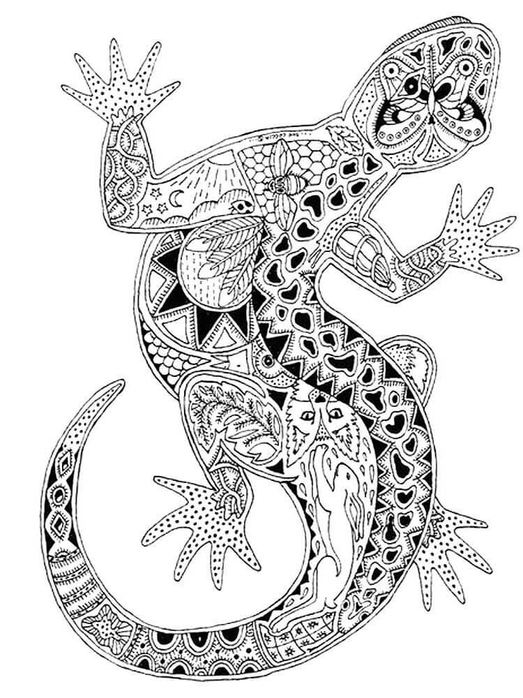 Lagarto para Colorear