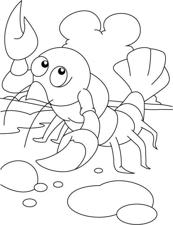 dibujo hacer ejercicio con langosta para colorear