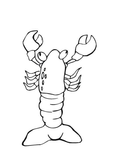 dibujo langosta roja para colorear
