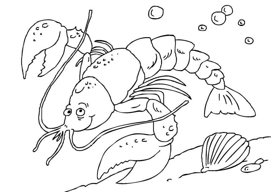 dibujo langosta vieja para colorear