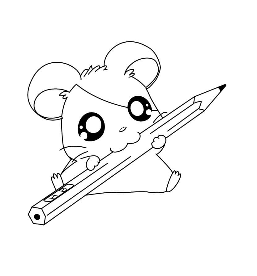 dibujos hamster con lapiz para colorear