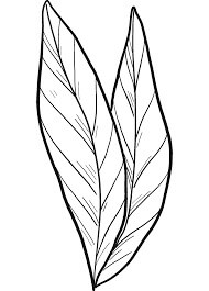 Dibujo de Laurel de Hoja para Colorear y Imprimir