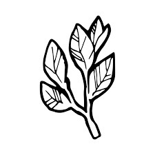 Dibujo de Laurel Increíble para Colorear y Imprimir