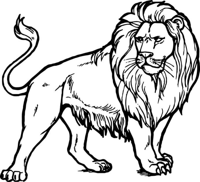 Dibujo de León Fuerte para Colorear y Imprimir