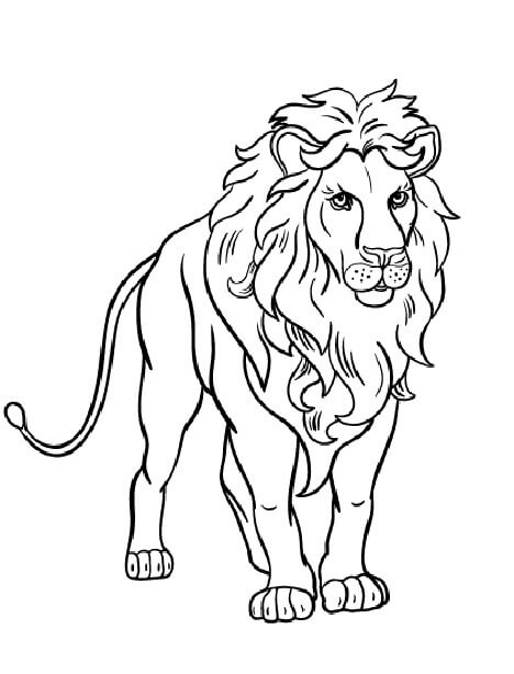 Dibujo de León Libre para Colorear y Imprimir