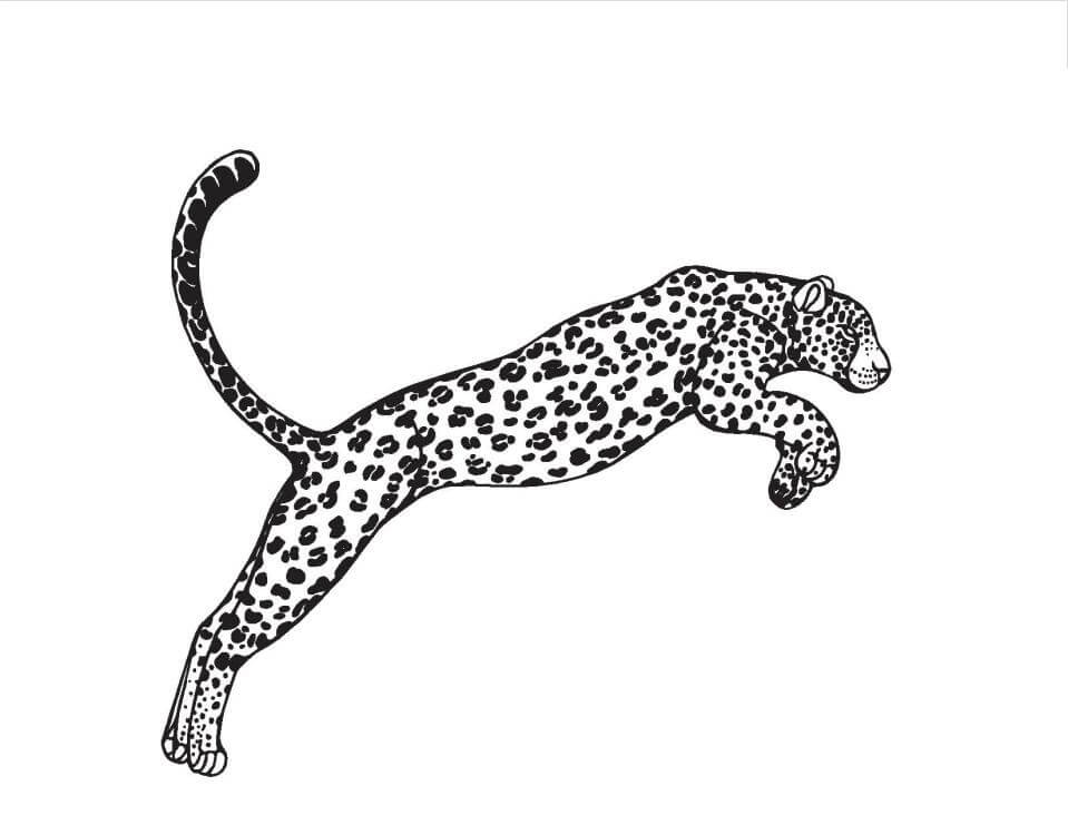 Leopardo para Colorear