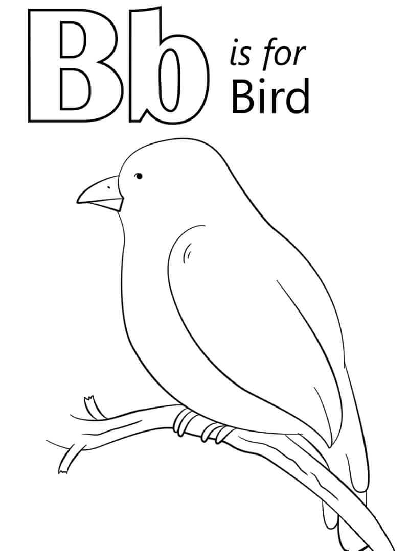 dibujos pajaro letra b para colorear