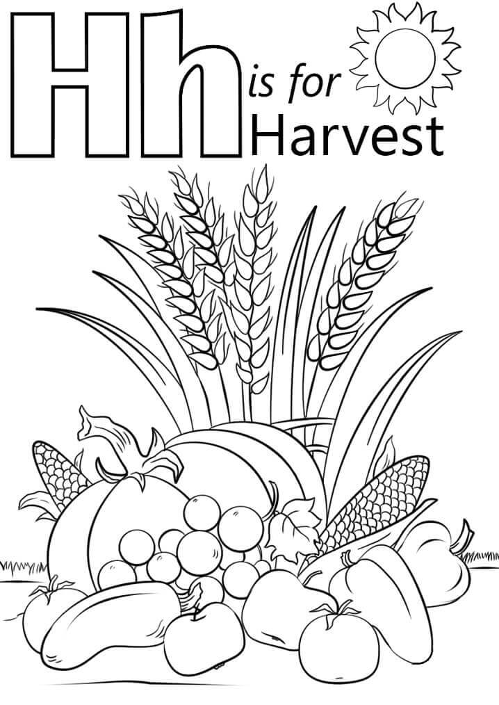 dibujos cosecha letra h para colorear