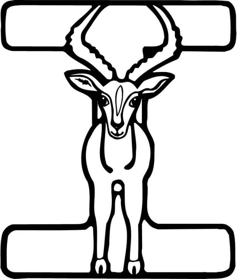 dibujos letra i animal para colorear