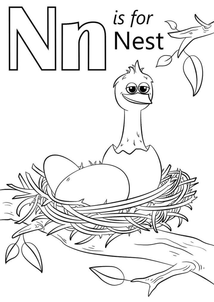 dibujos nido letra n para colorear