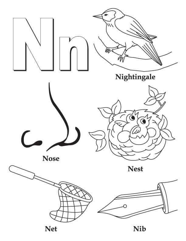 dibujos ruisenor nariz nido red plumilla letra n para colorear