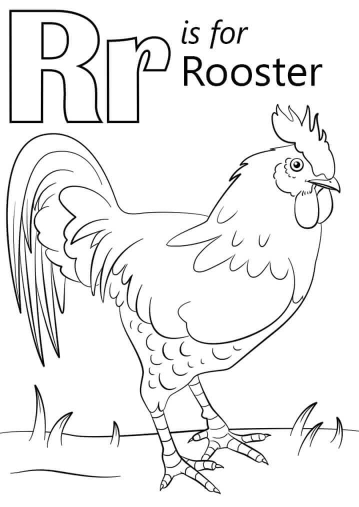 dibujos gallo fresco letra r para colorear