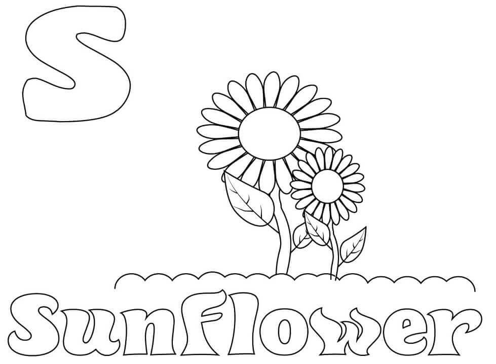dibujos girasol letra s para colorear