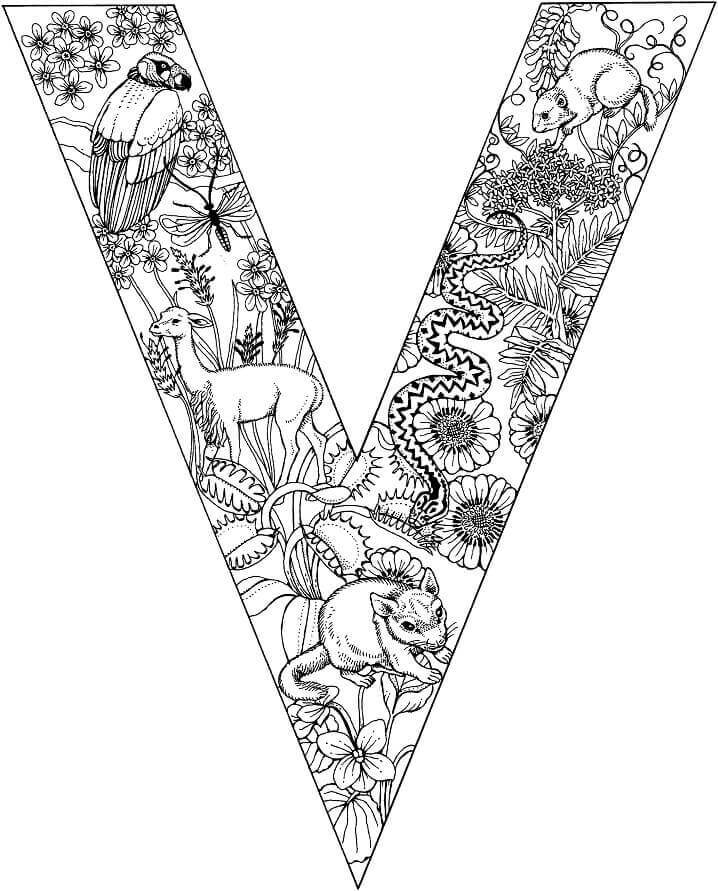 dibujos letra v maiz y zanahorias para colorear