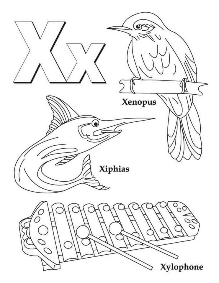 dibujo letra x pdf