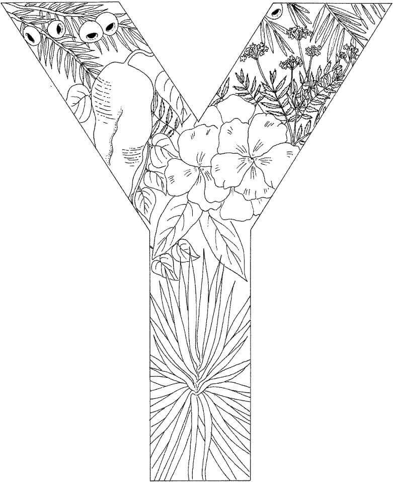 Letra Y para Colorear