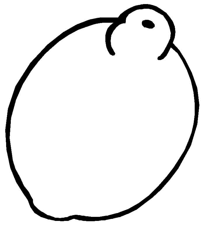 dibujo dibujo simple limon para colorear
