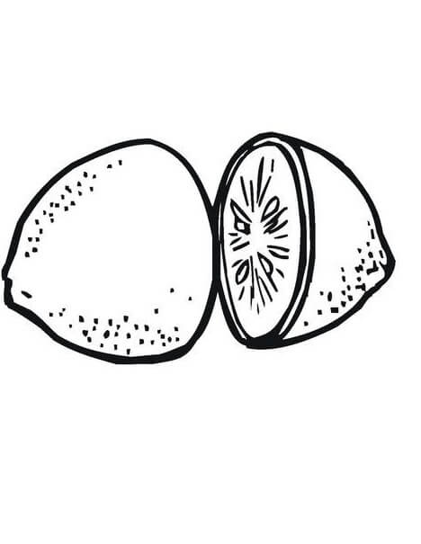 dibujo dos medio limon para colorear