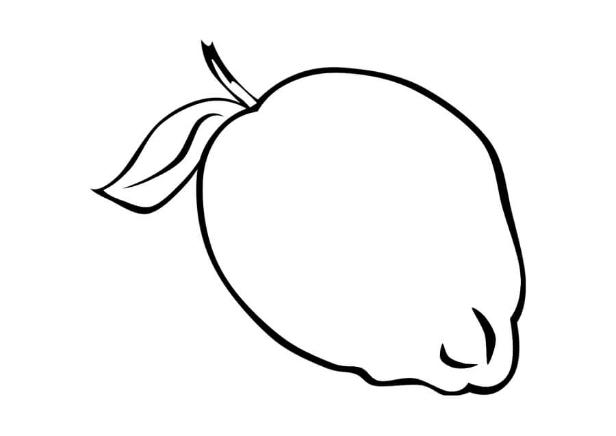dibujo limon sencillo para colorear